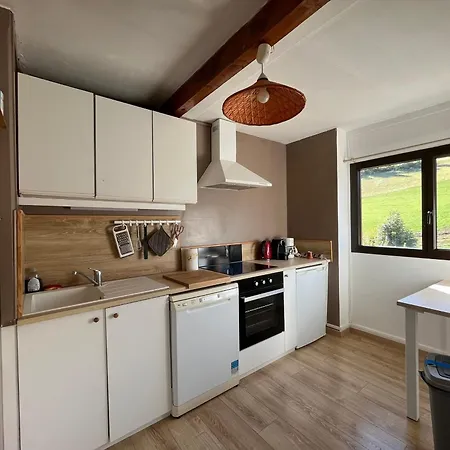 T2 Face Aux Pistes Avec Terrasse, 9 Couchages, Proche Commerces Et Piscine - Fr-1-165a-103 Enchastrayes