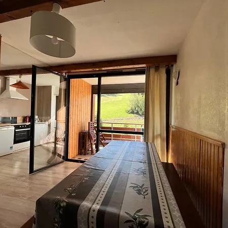 T2 Face Aux Pistes Avec Terrasse, 9 Couchages, Proche Commerces Et Piscine - Fr-1-165a-103 Apartment Enchastrayes